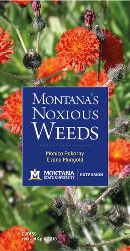 cover image of EB0159, Montana's Noxious Weeds